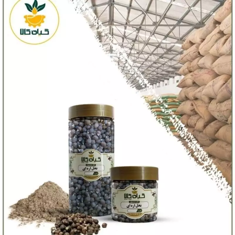 میوه نخل اره ای با کیفیت عالی بار امسالی و تازه(1کیلوگرم)