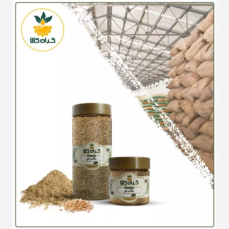 بذر مالت جو با کیفیت عالی، بار امسالی و تازه(500گرمی )