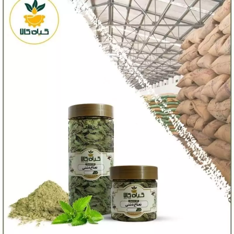 گیاه نعناع دشتی با کیفیت عالی، بار امسالی و تازه(1کیلوگرم)