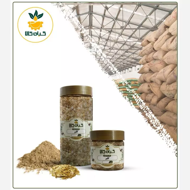 بذر گلپر ، با کیفیت عالی، بار امسالی و تازه(500گرمی )