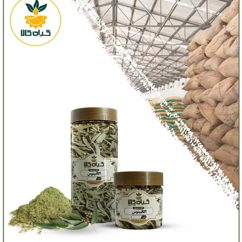 اکالیپتوس، بار امسالی و تازه(2کیلوگرم)