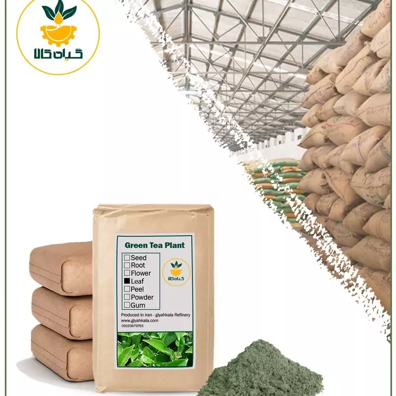 پودر چای سبز فله، بار امسالی و تازه(2کیلوگرم)