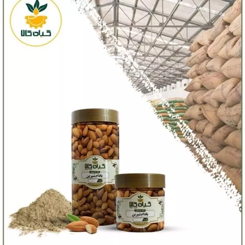 مغز بادام شیرین، بار امسالی و تازه (200گرمی)