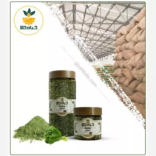 گیاه اسفناج پودر شده، بار امسالی و تازه(500گرمی )