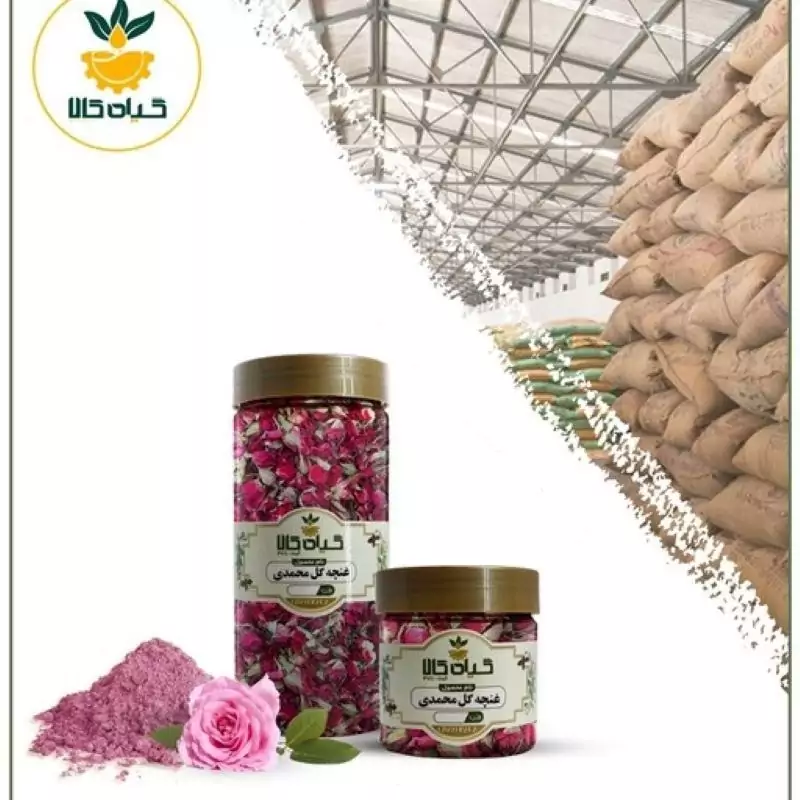 غنچه گل محمدی با کیفیت عالی، بار امسالی و تازه(50گرمی )