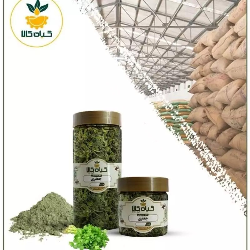 گیاه جعفری با کیفیت عالی، بار امسالی و تازه(500گرمی)