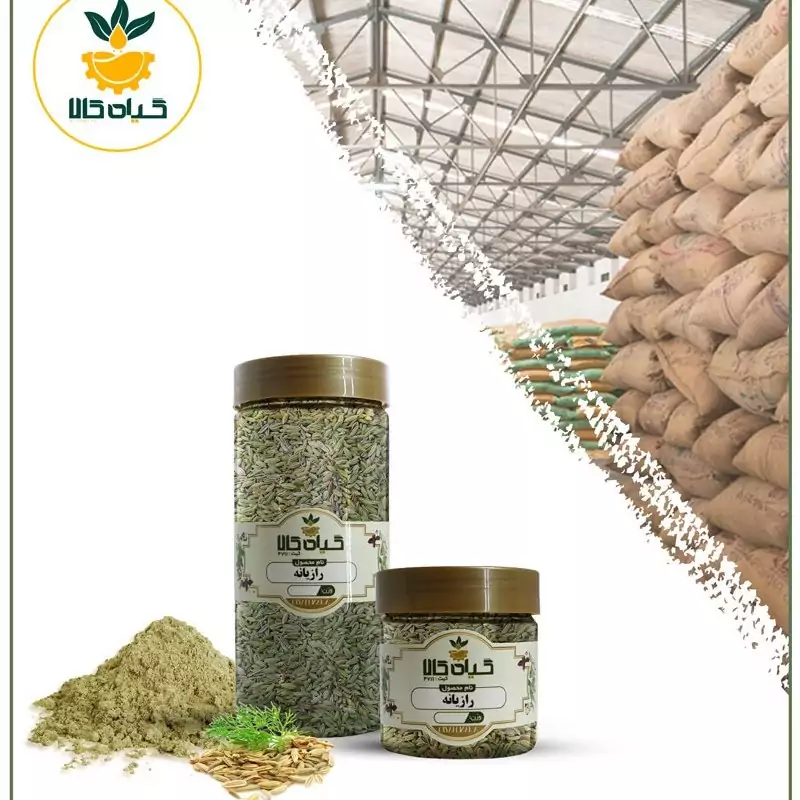 بذر رازیانه، بار امسالی و تازه(50گرمی)