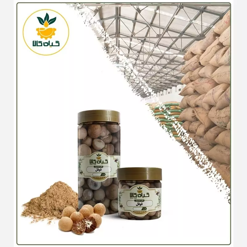 فوفل خشک، بار امسالی و تازه(1کیلوگرم )