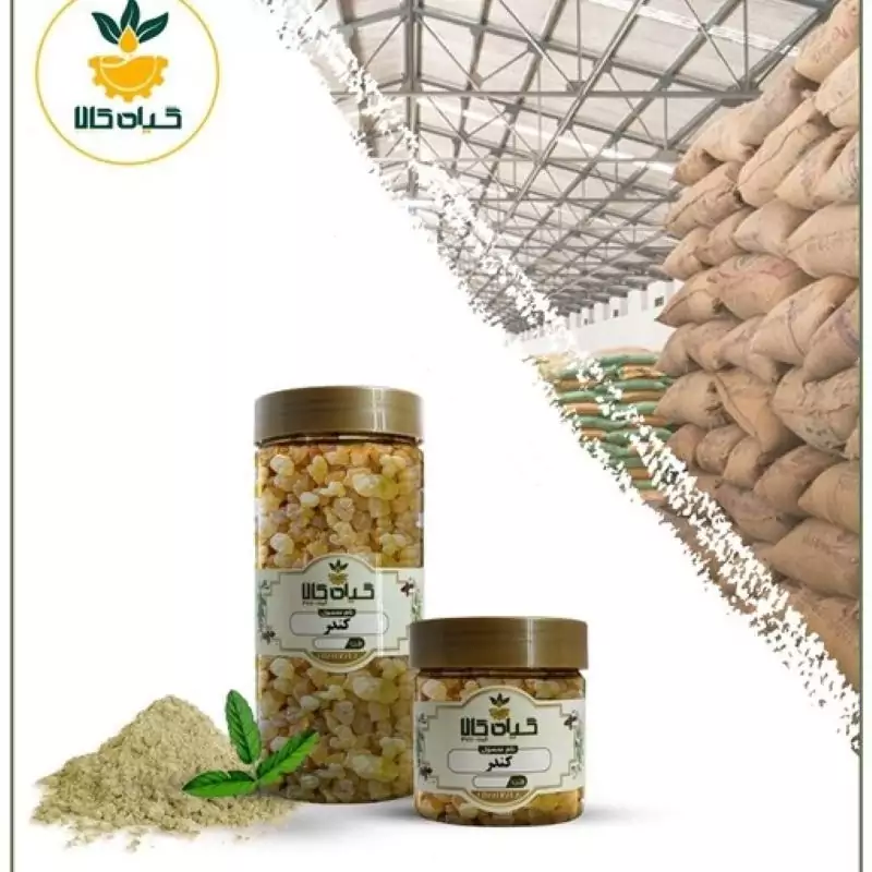 صمغ کندر با کیفیت عالی، بار امسالی و تازه(2کیلوگرم)