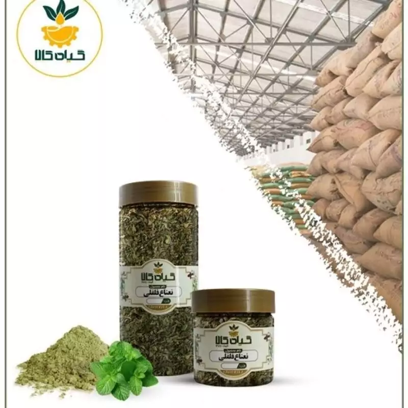 گیاه نعناع فلفلی با کیفیت عالی، بار امسالی و تازه(500 گرمی)