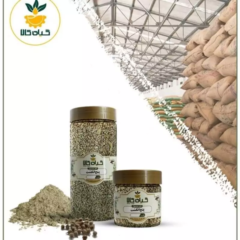 پنج انگشت با کیفیت عالی، بار امسالی و تازه(50 گرمی )