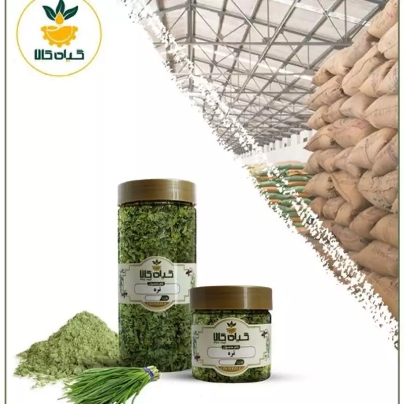 گیاه تره با کیفیت عالی، بار امسالی و تازه(500 گرمی)