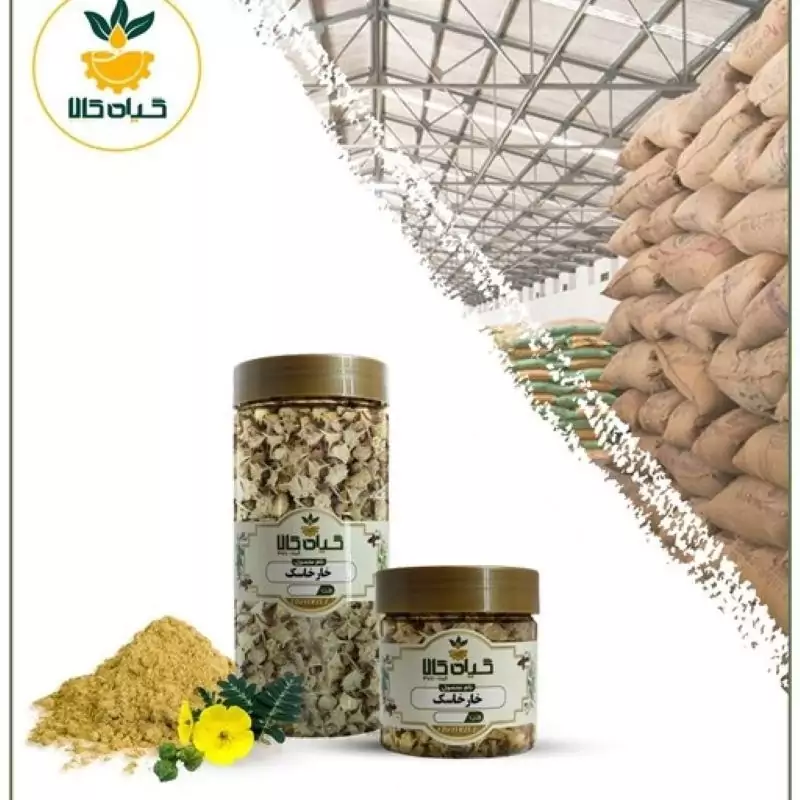 گیاه خارخاسک با کیفیت عالی، بار امسالی و تازه(100 گرمی )