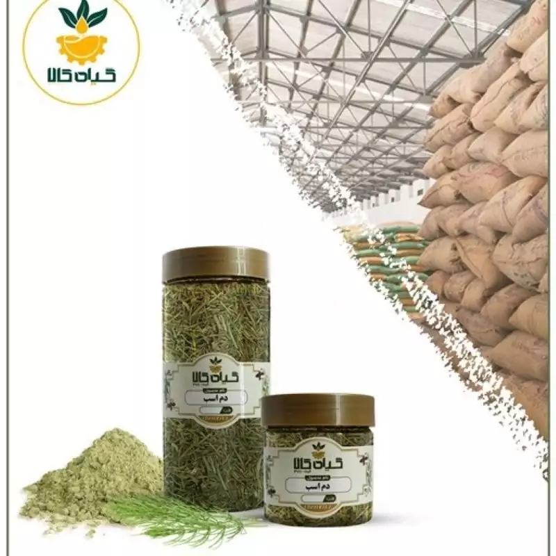 گیاه دم اسب با کیفیت عالی، بار امسالی و تازه(50گرمی)