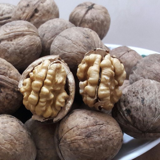توضیحات تصویر