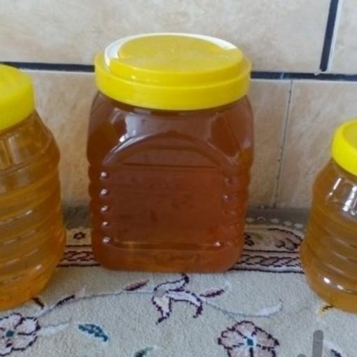 عسل صددرصد طبیعی کنار