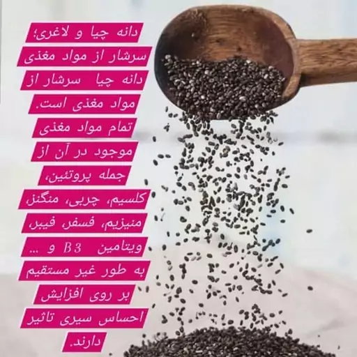 دانه چیا  160 گرمی