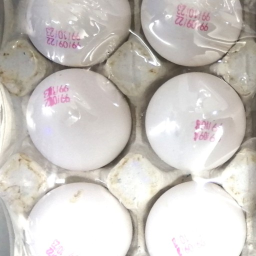 تخم مرغ بسته بندی شده 15 عددی