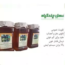 عسل درجه 1 چند گیاه (یک کیلوگرم)