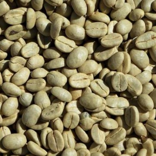 قهوه سبز درشت 100 گرمی 

کاهش وزن 
خوش طعم 
