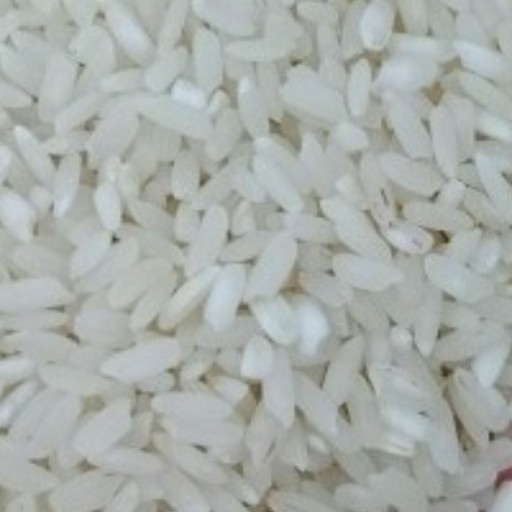 برنج محلی اصیل و معطر در بسته های ده کیلویی معروف به برنج میداوود