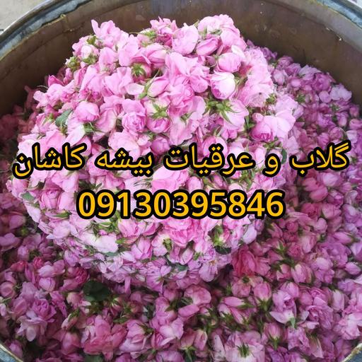 گلاب 20کیلو گل (متوسط) بیشه خوش عطر و طعم