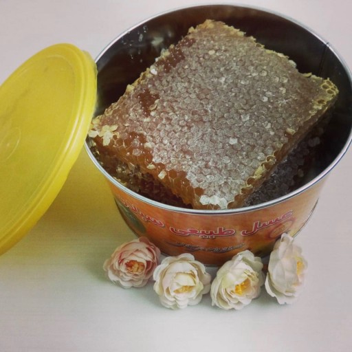 عسل چند گیاه موم دار 1 کیلویی سبلان (مستقیم از زنبوردار)