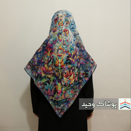 توضیحات تصویر