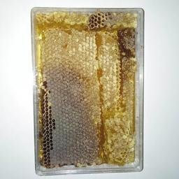 عسل ارگانیک با موم آی نیل، یک کیلو گرمی، ارسال رایگان