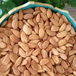 مغز بادام سنگی