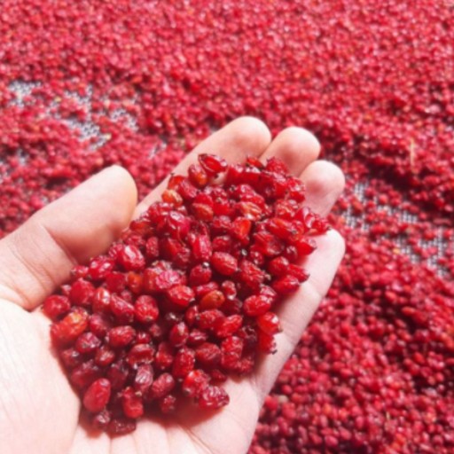 توضیحات تصویر