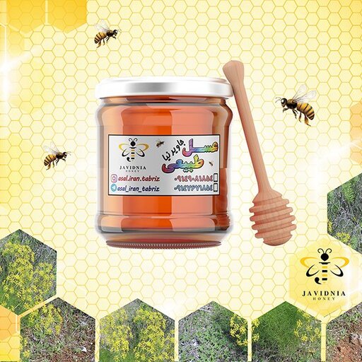 عسل طبیعی رازیانه 400 گرم