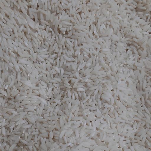 برنج اصل طارم دورود کیفیت عالی خرید مستقیم از شالیکار