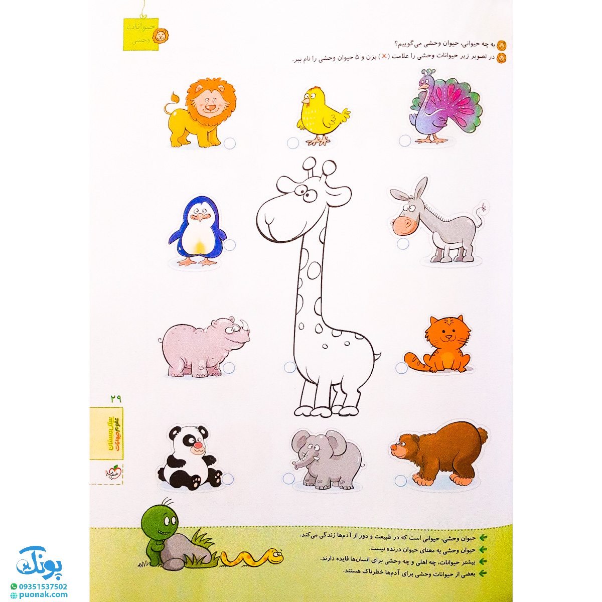 کتاب کار علوم پیش دبستانی خیلی سبز به همراه استیکر