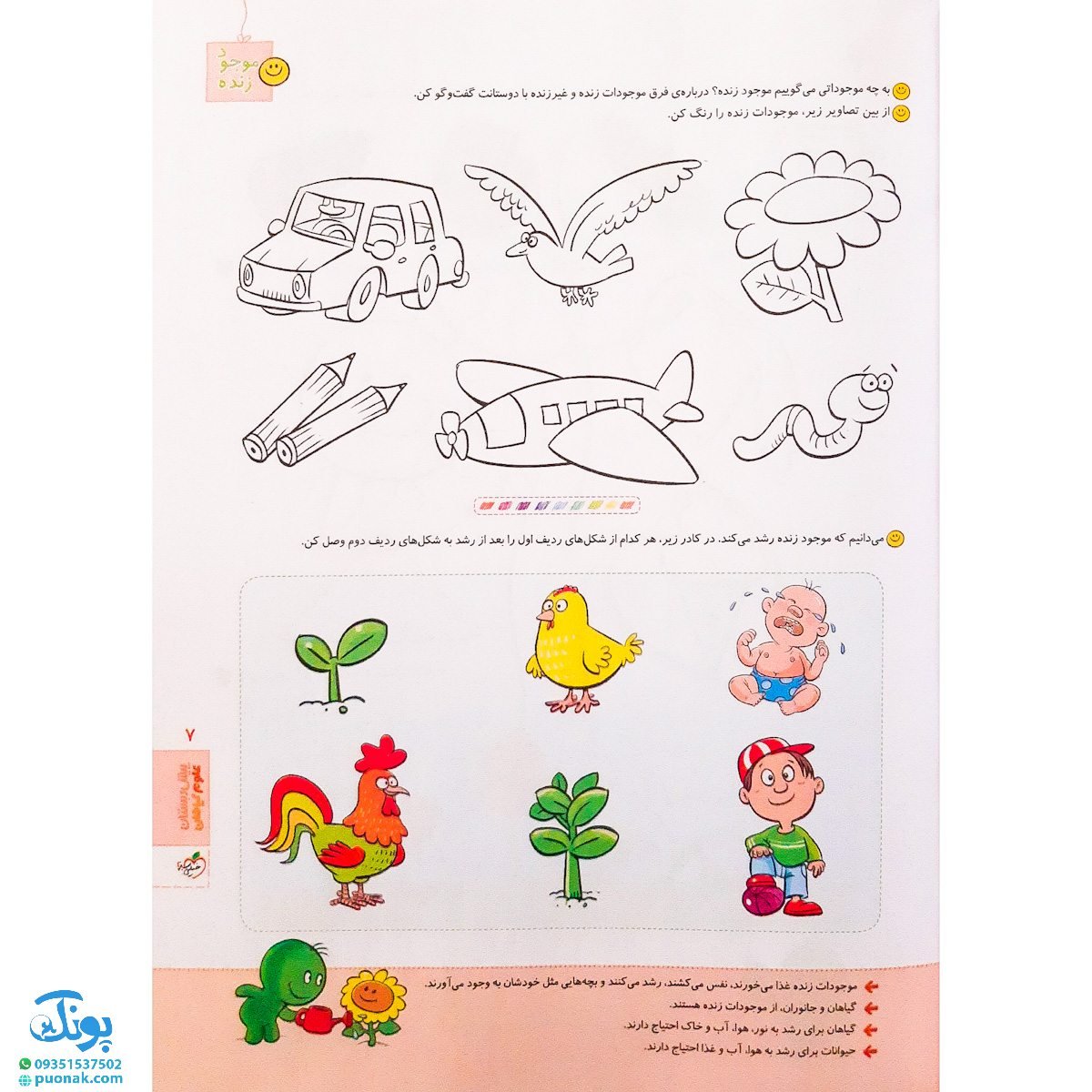 کتاب کار علوم پیش دبستانی خیلی سبز به همراه استیکر