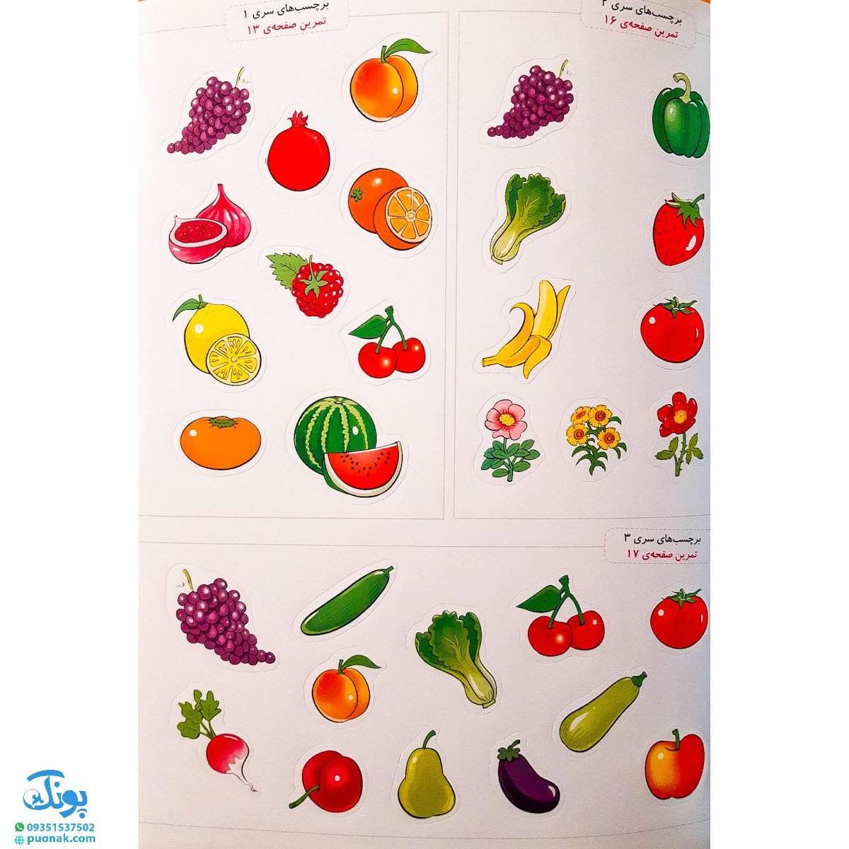 کتاب کار علوم پیش دبستانی خیلی سبز به همراه استیکر