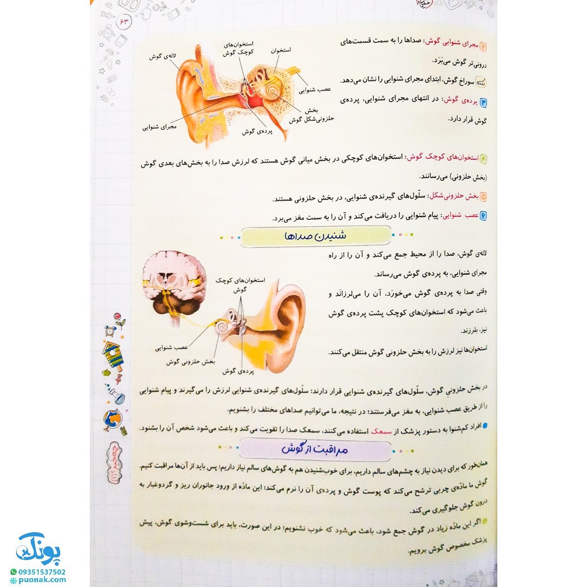 کتاب کار علوم پنجم دبستان خیلی سبز 