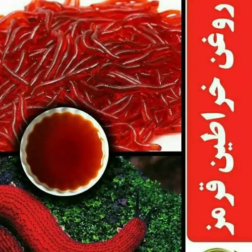 روغن خراطین قرمز 60گرمی اصلی