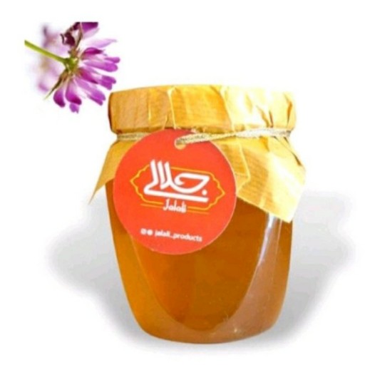 عسل طبیعی گون 1000گرم آرسکا