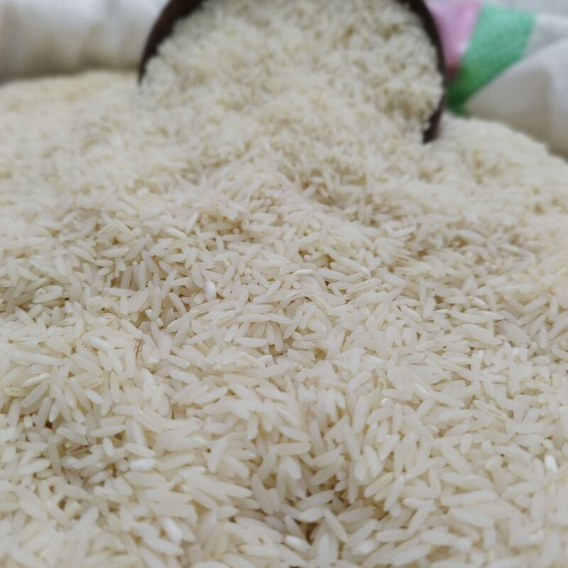 برنج طارم محلی فریدونکنار(طارم سنگی) مستقیم از تولید کننده20کیلویی بوجارشده