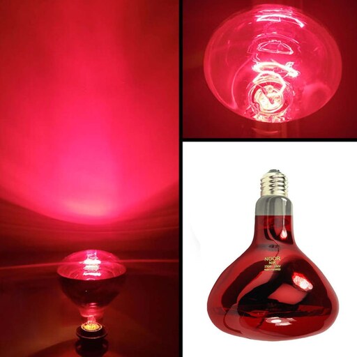 لامپ مادون قرمز 250 وات با ارسال پیشتاز دارای ضمانت(گرمایی و درمانی و پرورش)