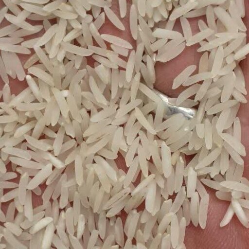 برنج فجر (10 کیلویی) بوجار و سورت شده خوش پخت صداقت