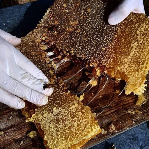 عسل ارگانیک و درمانی آویشن محصول طبیعی دامنه های پاک سبلان(محصول زنبوردار)