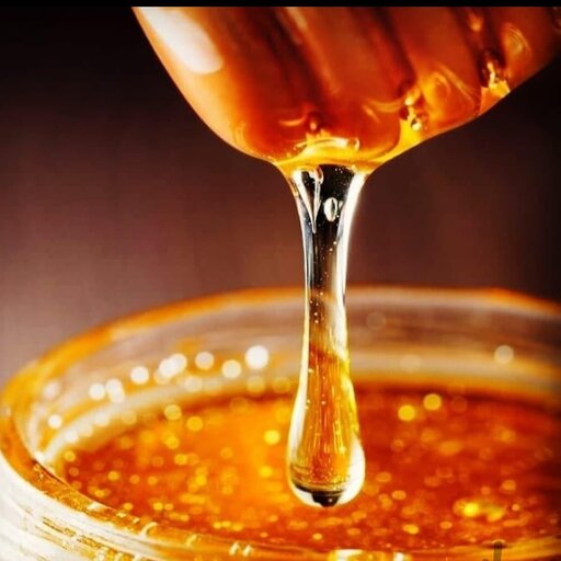 شهد عسل کاملا ارگانیک آویشن محصول طبیعی دامنه های پاک سبلان(عسل جدا شده از موم)