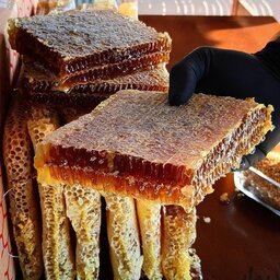 عسل طبیعی درمانی گون باموم 100خالص  محصول طبیعی دانه های پاک سبلان(مستقیم از زنبور دار)
