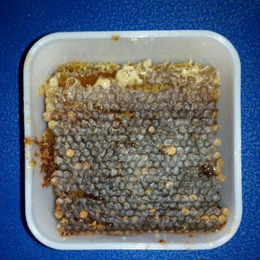 عسل طبیعی مومدار چندگیاه کوهی سبلان نوش اردبیل (مستقیم از زنبوردار)