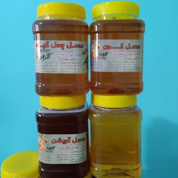 پک ویژه با 13درصد تخفیف محصولات پرطرفدار سالم و خوب از زنبوردار برداشت 1402 ((پلمپ شده و بهداشتی))