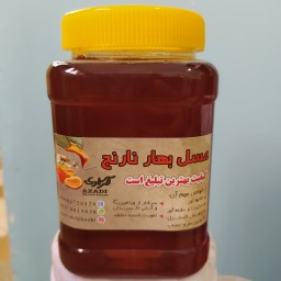 عسل بهارنارنج  تک گل خوش طعم عطر مستقیم از زنبوردار یک کیلوگرم برداشت 1402 ((پلمپ شده و بهداشتی))