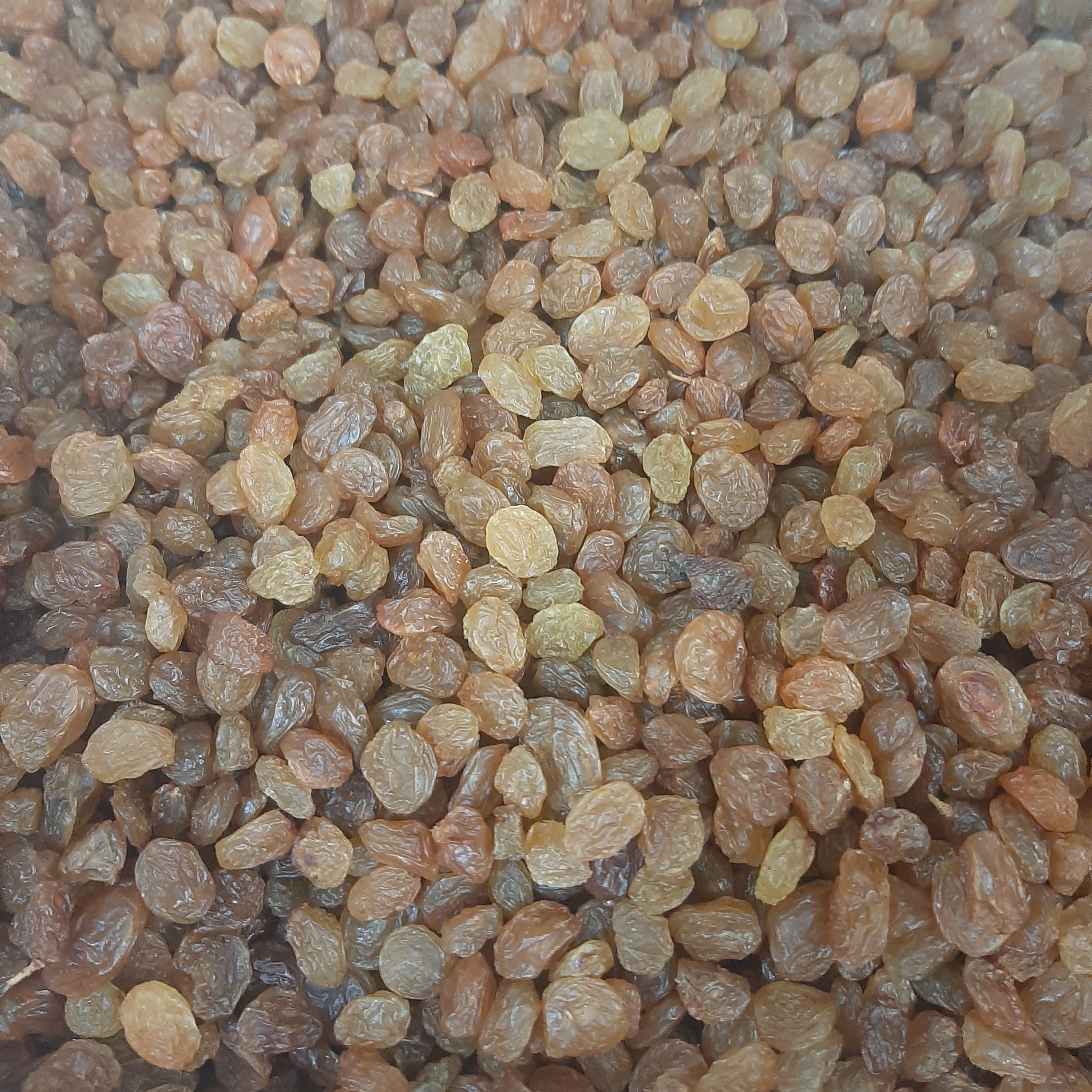 کشمش پلویی ممتاز طلایی 1000 گرمی(تضمین کیفیت)