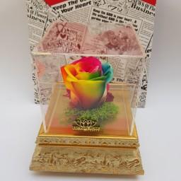 باکس گل رز جاودان با رنگ دلخواه در باکس سلطنتی